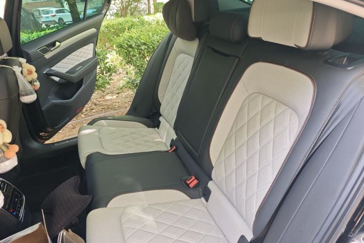Used Volkswagen Magotan 2023 2 Million Units Limited-Edition 380TSI DSG Flagship Version Left Rear Seat