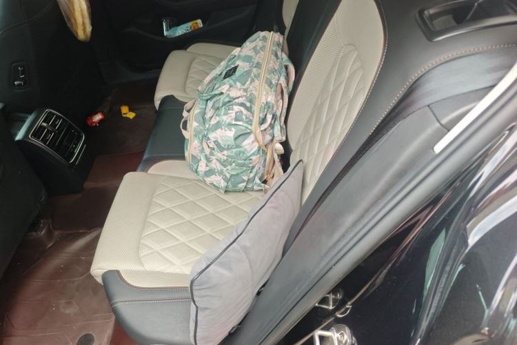 Used Volkswagen Magotan 2023 2 Million Units Commemorative Edition 330TSI DSG Luxury Version Left Rear Seat