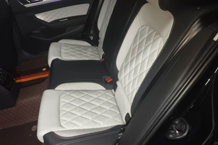 Used Volkswagen Magotan 2023 2 Million Units Commemorative Edition 330TSI DSG Luxury Version Left Rear Seat