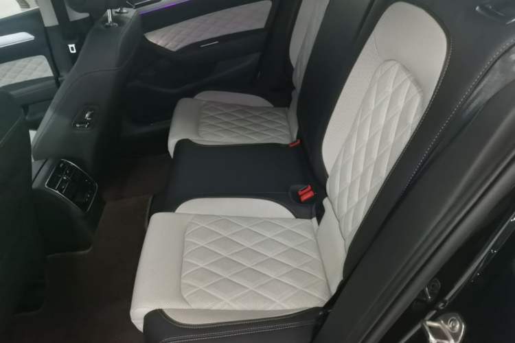 Used Volkswagen Magotan 2023 2 Million Units Commemorative Edition 330TSI DSG Luxury Version Left Rear Seat