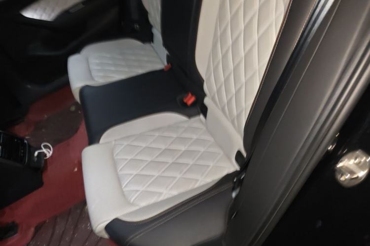Used Volkswagen Magotan 2023 2 Million Units Commemorative Edition 330TSI DSG Luxury Version Left Rear Seat