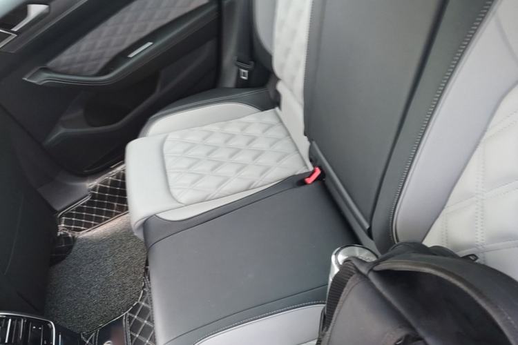 Used Volkswagen Magotan 2023 2 Million Units Limited Edition 330TSI DSG Leading Version Left Rear Seat