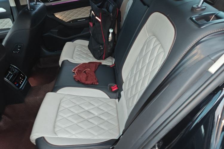 Used Volkswagen Magotan 2023 2 Million Units Commemorative Edition 330TSI DSG Luxury Version Left Rear Seat