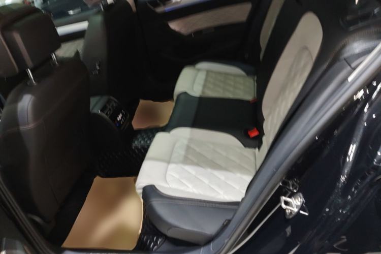 Used Volkswagen Magotan 2023 2 Million Units Commemorative Edition 330TSI DSG Luxury Version Left Rear Seat