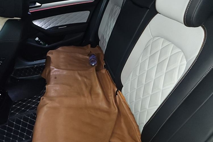 Used Volkswagen Magotan 2023 2 Million Units Commemorative Edition 330TSI DSG Luxury Version Left Rear Seat