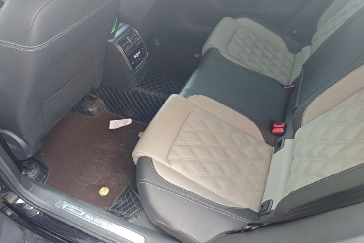 Used Volkswagen Magotan 2023 2 Million Units Limited Edition 330TSI DSG Leading Version Left Rear Seat