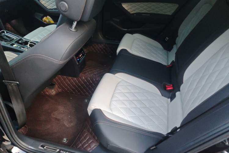 Used Volkswagen Magotan 2023 2 Million Units Commemorative Edition 330TSI DSG Luxury Version Left Rear Seat