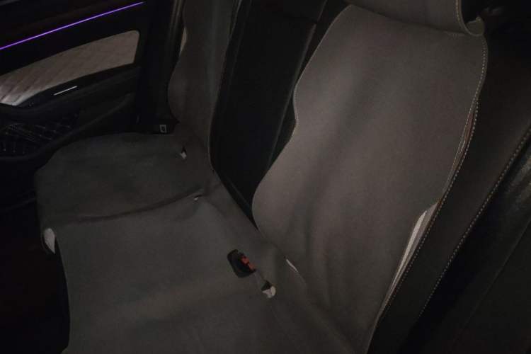 Used Volkswagen Magotan 2023 2 Million Units Commemorative Edition 330TSI DSG Luxury Version Left Rear Seat