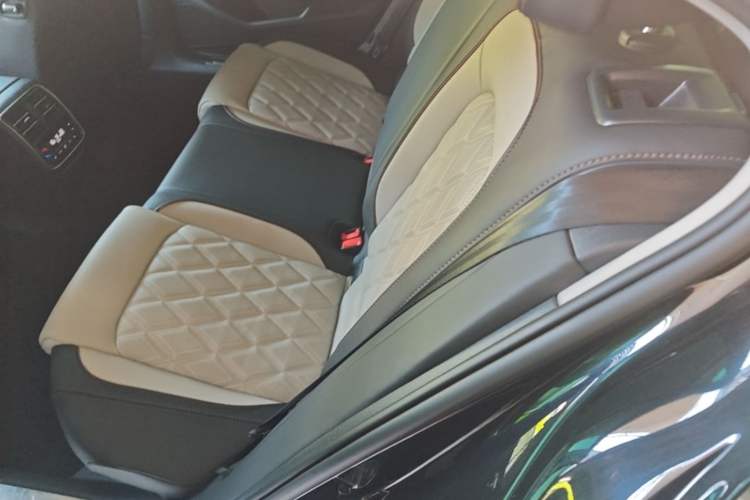 Used Volkswagen Magotan 2023 2 Million Units Limited-Edition 380TSI DSG Flagship Version Left Rear Seat