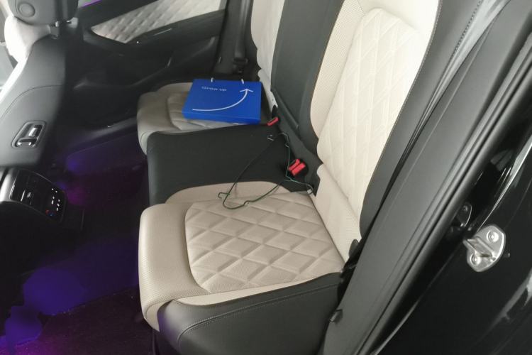 Used Volkswagen Magotan 2023 2 Million Units Commemorative Edition 330TSI DSG Luxury Version Left Rear Seat
