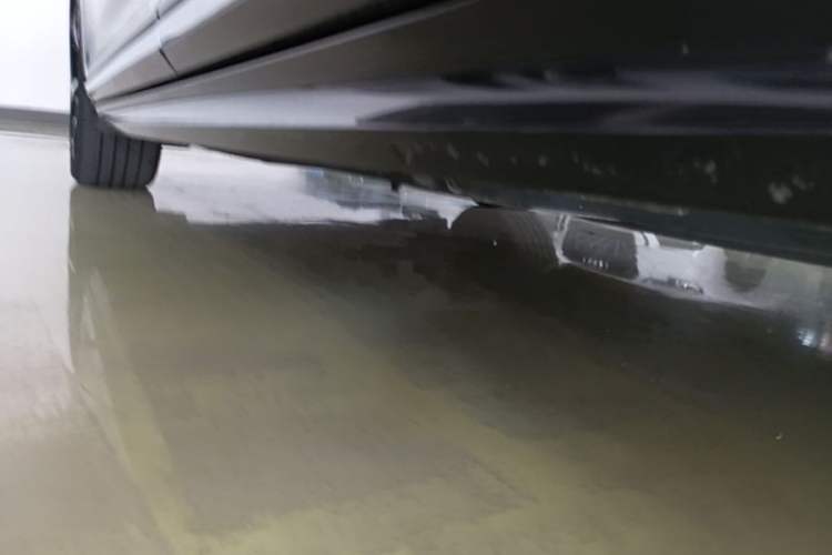 Used Volkswagen Magotan 2023 2 Million Units Commemorative Edition 330TSI DSG Luxury Version Left Side Sill