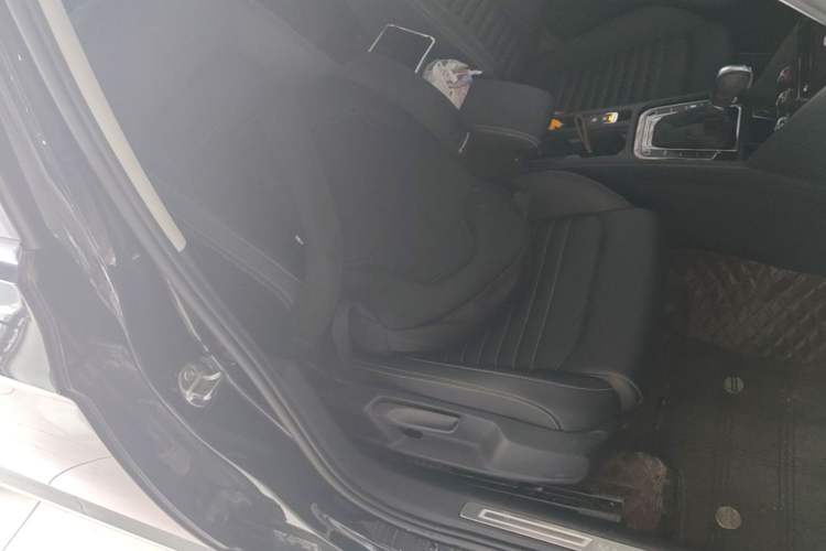 Used Volkswagen Magotan 2023 2 Million Units Limited-Edition 280TSI DSG Comfort Version Right Front Seat