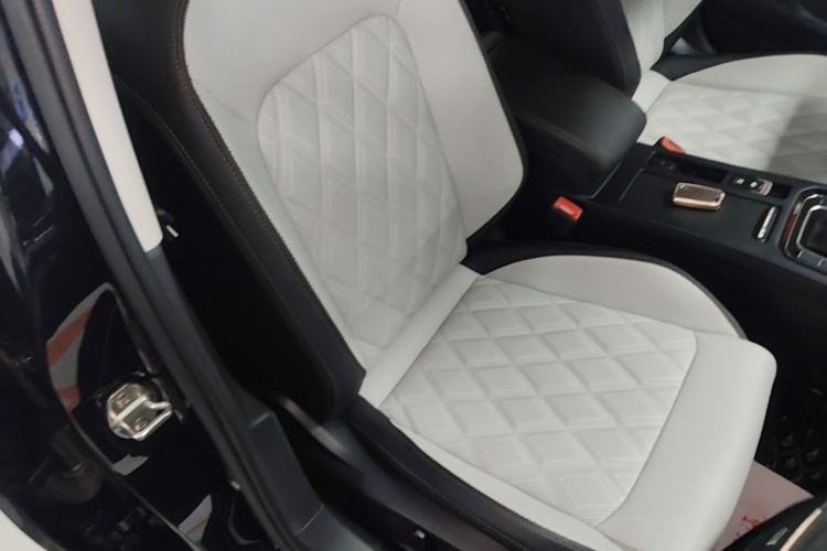 Used Volkswagen Magotan 2023 2 Million Units Commemorative Edition 330TSI DSG Luxury Version Right Front Seat