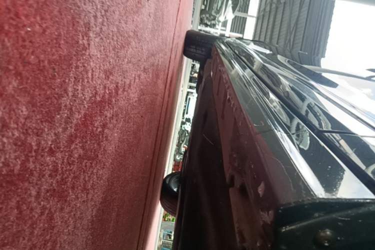 Used Volkswagen Magotan 2023 2 Million Units Commemorative Edition 330TSI DSG Luxury Version Right Side Sill