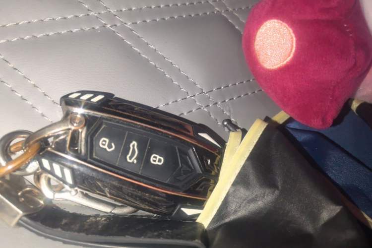 Used Volkswagen Magotan 2023 2 Million Units Commemorative Edition 330TSI DSG Luxury Version Vehicle Key