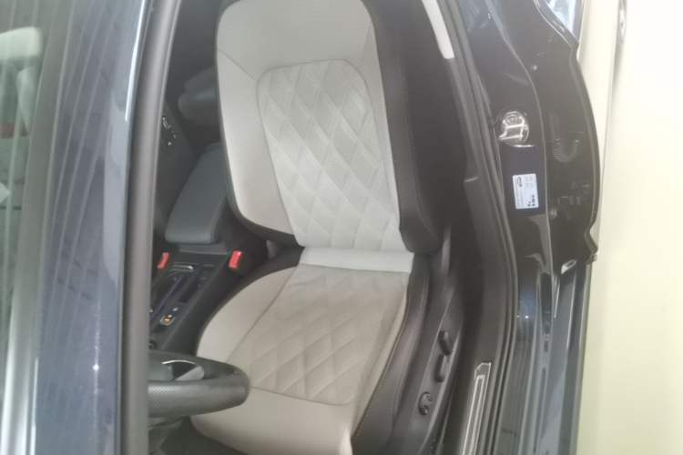 Used Volkswagen Magotan 2023 2 Million Units Commemorative Edition 330TSI DSG Luxury Version Left Front Seat