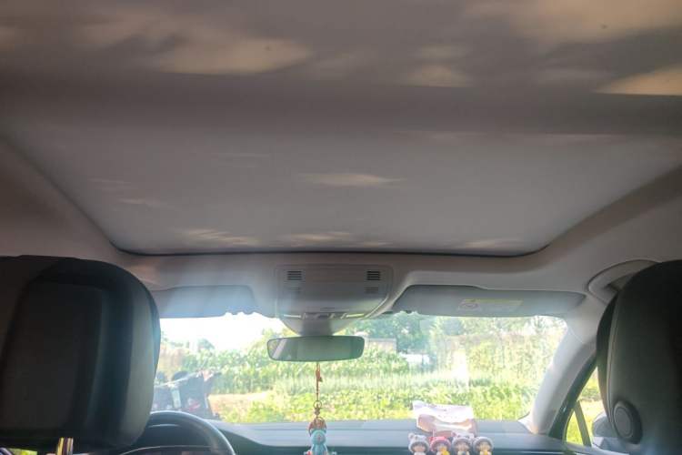 Used Volkswagen Magotan 2024 2 Million Units Zhongxiang Version 330TSI DSG Luxury Edition Headliner