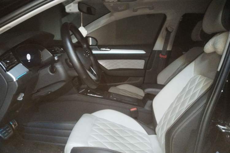 Used Volkswagen Magotan 2024 2 Million Units Zhongxiang Version 330TSI DSG Luxury Edition Left Front Seat