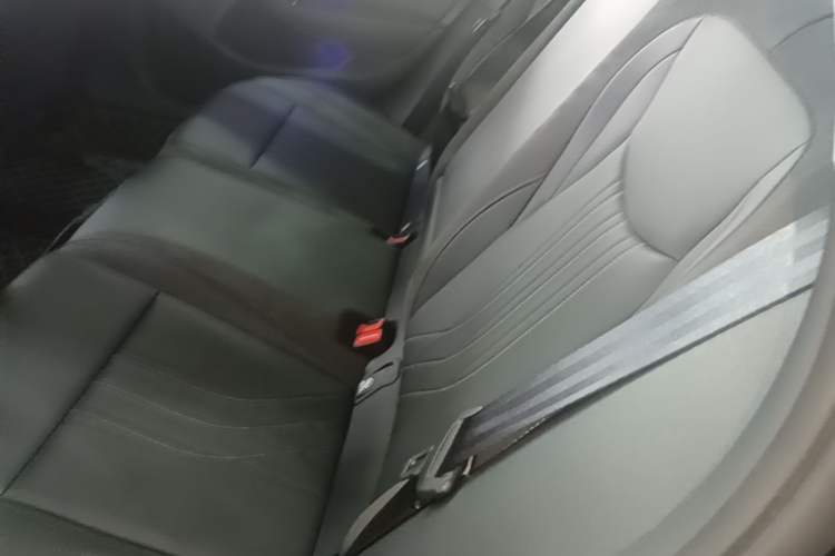 Used Volkswagen Magotan 2024 300TSI DSG Prestige Edition—A Real Eye-Catcher Left Rear Seat