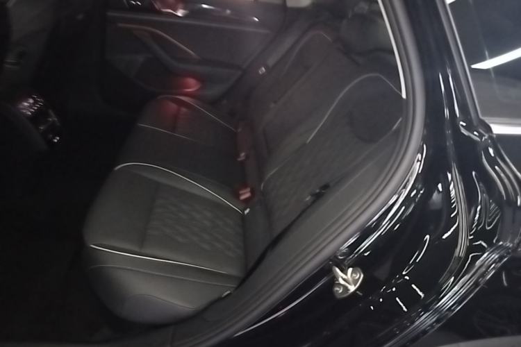 Used Volkswagen Magotan 2024 380TSI DSG Ultimate Edition Left Rear Seat
