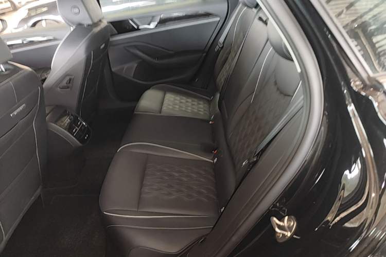 Used Volkswagen Magotan 2024 380TSI DSG Prestige Edition DaMai Package Left Rear Seat