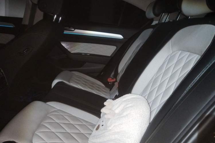 Used Volkswagen Magotan 2024 2 Million Units Zhongxiang Version 330TSI DSG Luxury Edition Left Rear Seat