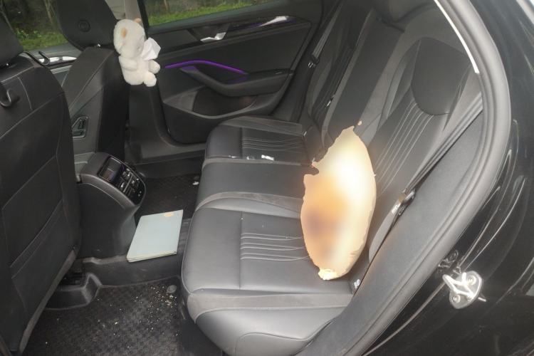 Used Volkswagen Magotan 2024 380TSI DSG Prestige Edition Left Rear Seat