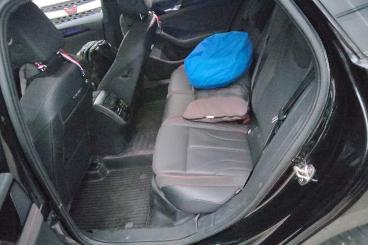 Used Volkswagen Magotan 2024 380TSI DSG Prestige Edition DaMai Package Left Rear Seat