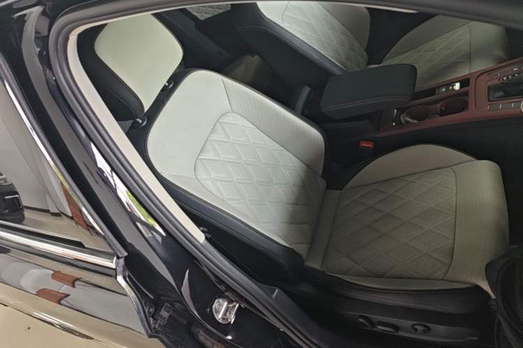 Used Volkswagen Magotan 2024 2 Million Units Zhongxiang Version 330TSI DSG Luxury Edition Right Front Seat