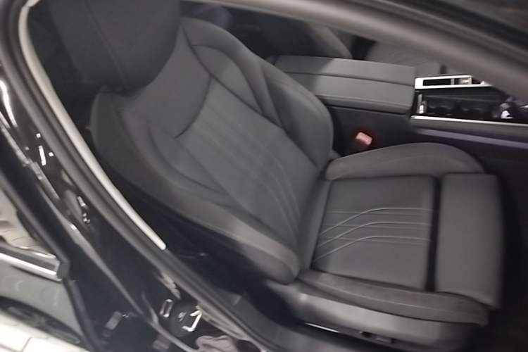 Used Volkswagen Magotan 2024 300TSI DSG Prestige Edition—A Real Eye-Catcher Right Front Seat