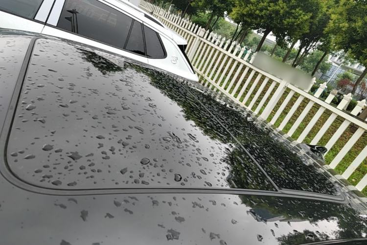 Used Volkswagen Magotan 2024 300TSI DSG Prestige Edition—A Real Eye-Catcher Roof