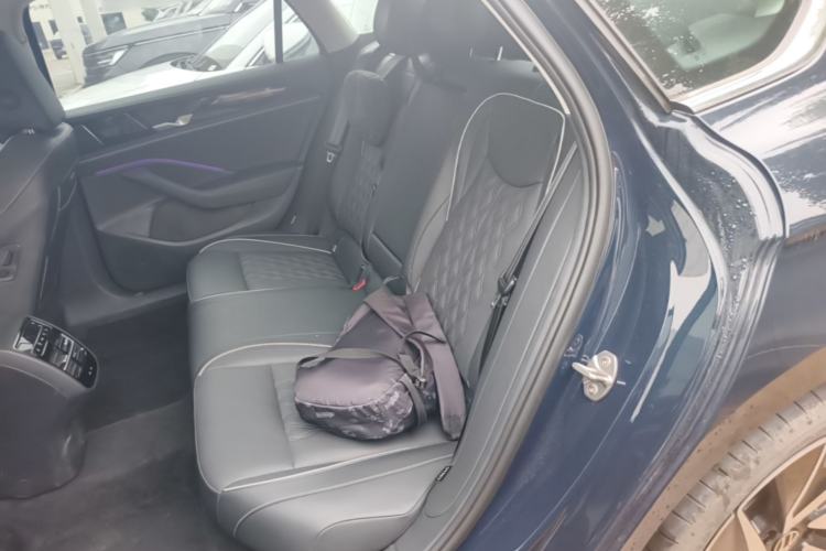 Used Volkswagen Magotan 2024 380TSI DSG Ultimate Edition Left Rear Seat