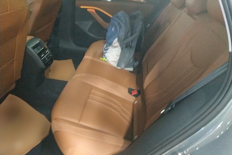 Used Volkswagen Magotan 2024 300TSI DSG Prestige Edition—A Real Eye-Catcher Left Rear Seat