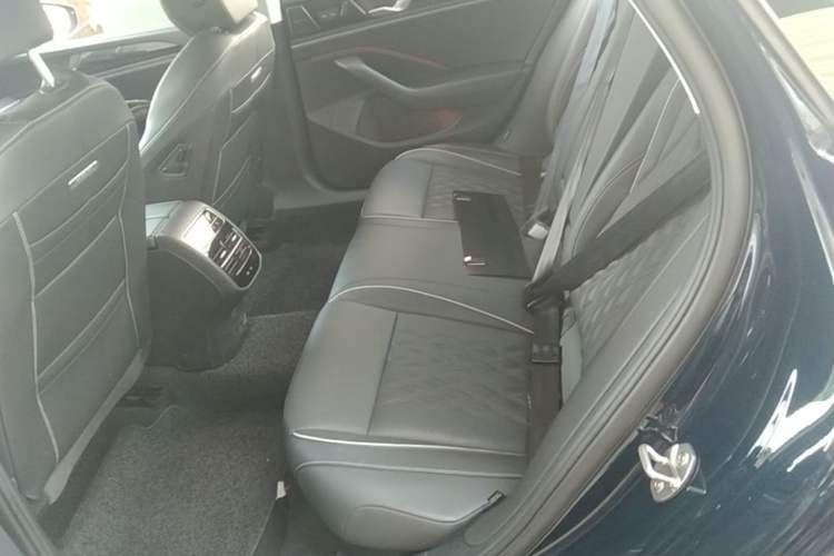 Used Volkswagen Magotan 2024 380TSI DSG Ultimate Edition Left Rear Seat