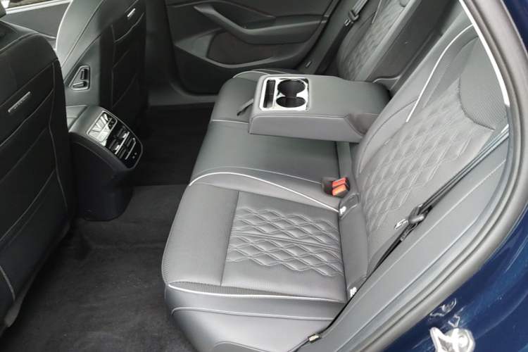 Used Volkswagen Magotan 2024 380TSI DSG Ultimate Edition Left Rear Seat
