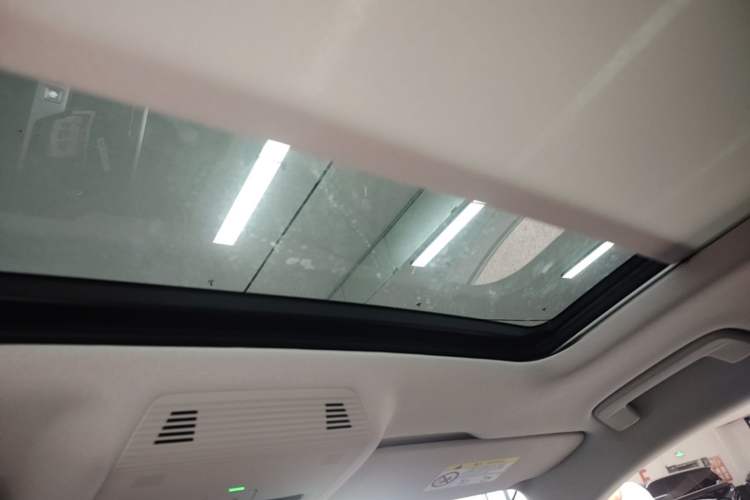 Used Volkswagen Magotan 2024 300TSI DSG Luxury Edition Headliner