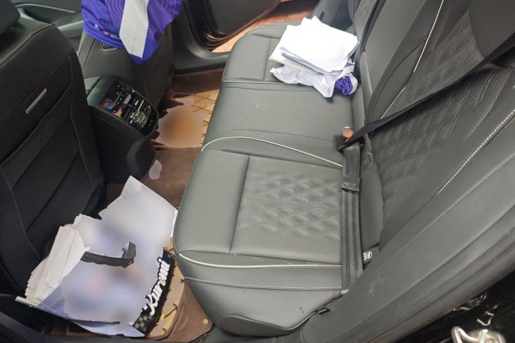 Used Volkswagen Magotan 2024 380TSI DSG Prestige Edition DaMai Package Left Rear Seat