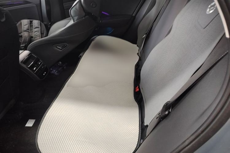 Used Volkswagen Magotan 2024 300TSI DSG Luxury Edition Left Rear Seat