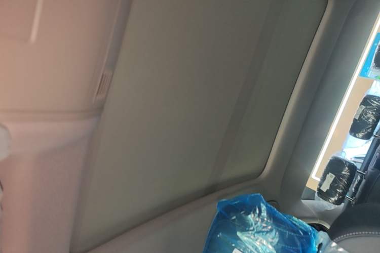 Used Volkswagen Magotan 2025 Zhongxiang Version 280TSI DSG Comfort Edition Headliner