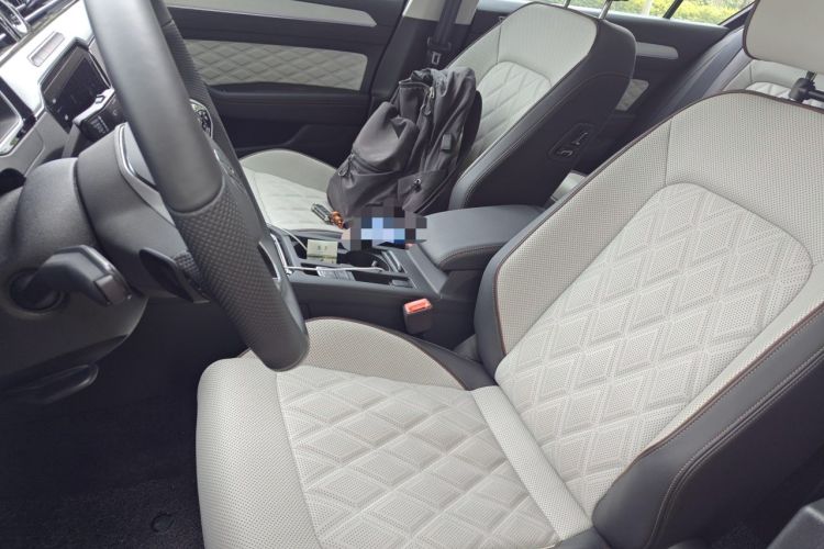Used Volkswagen Magotan 2025 Zhongxiang Version 330TSI DSG Luxury Edition Left Front Seat
