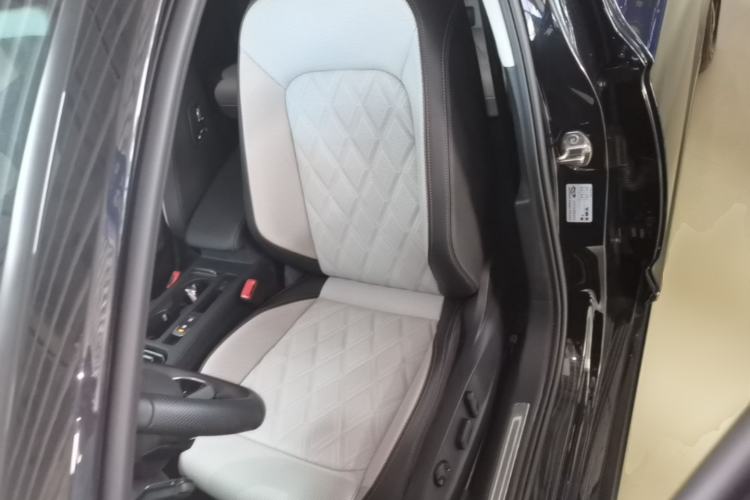 Used Volkswagen Magotan 2025 Zhongxiang Version 330TSI DSG Luxury Edition Left Front Seat