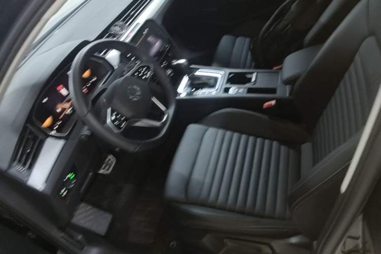Used Volkswagen Magotan 2025 Zhongxiang Version 280TSI DSG Comfort Edition Left Front Seat