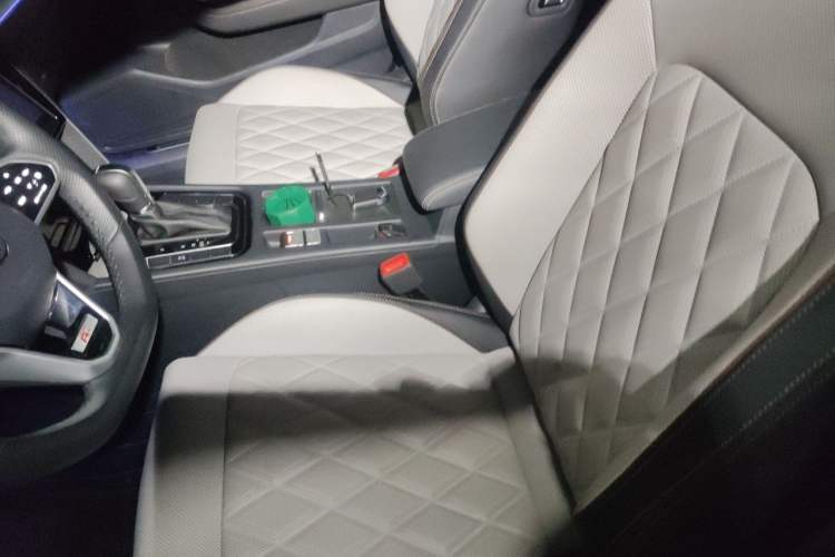 Used Volkswagen Magotan 2025 Zhongxiang Version 330TSI DSG Luxury Edition Left Front Seat
