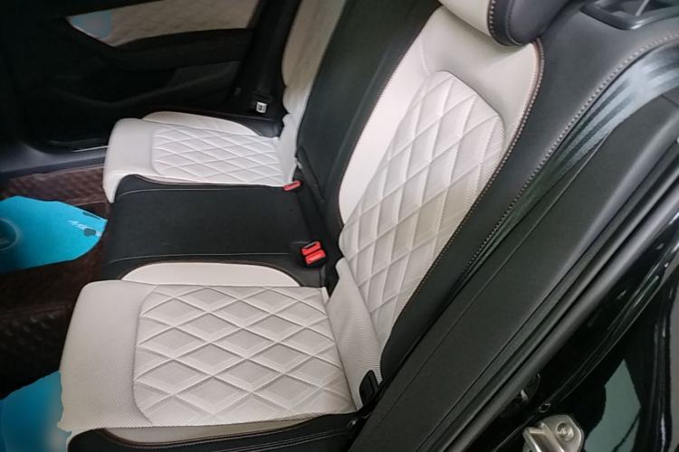 Used Volkswagen Magotan 2025 Revised Version 2 Zhongxiang Edition 330TSI DSG Luxury Trim Left Rear Seat