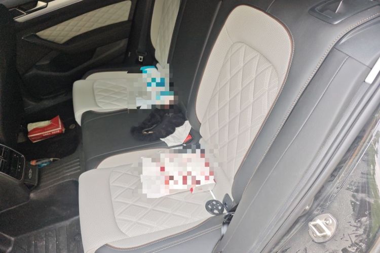 Used Volkswagen Magotan 2025 Revised Version 2 Zhongxiang Edition 330TSI DSG Luxury Trim Left Rear Seat