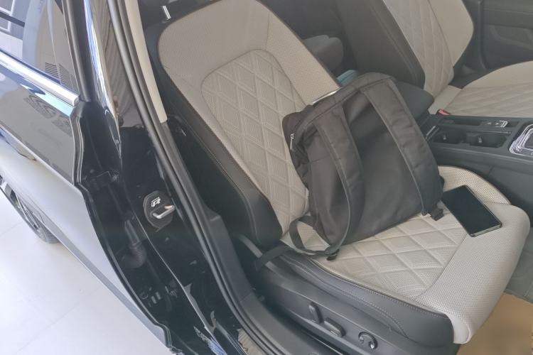 Used Volkswagen Magotan 2025 Zhongxiang Version 330TSI DSG Luxury Edition Right Front Seat