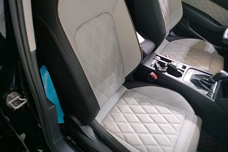 Used Volkswagen Magotan 2025 Revised Version 2 Zhongxiang Edition 330TSI DSG Luxury Trim Right Front Seat