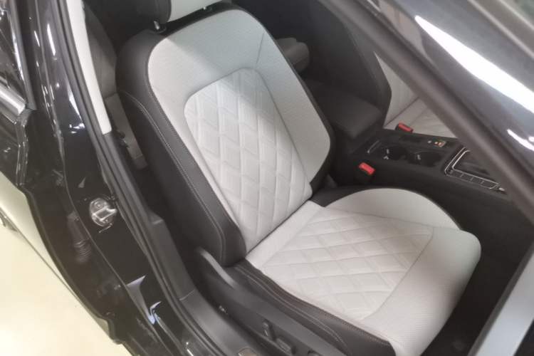 Used Volkswagen Magotan 2025 Zhongxiang Version 330TSI DSG Luxury Edition Right Front Seat