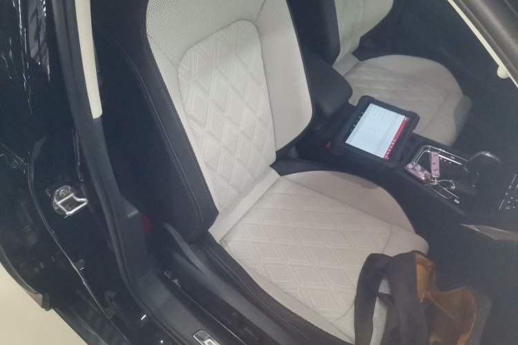 Used Volkswagen Magotan 2025 Zhongxiang Version 330TSI DSG Luxury Edition Right Front Seat
