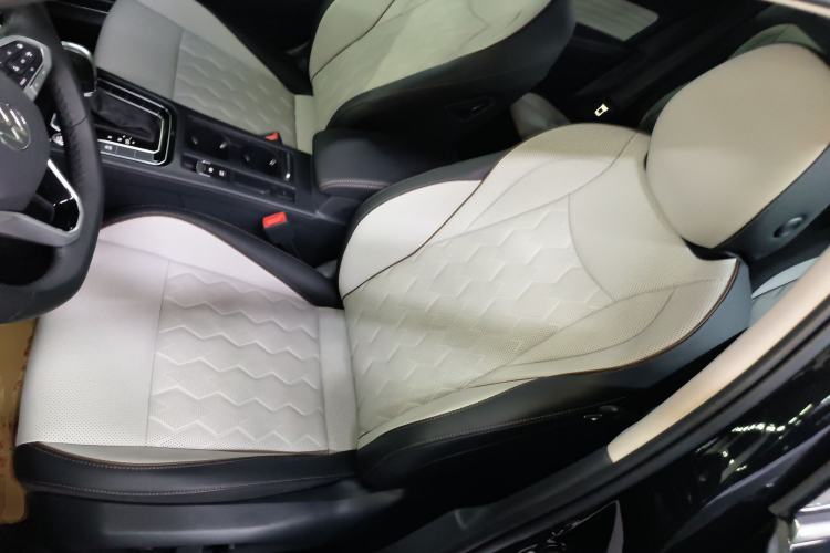 Used Volkswagen Magotan 2026 30 Million Vehicles Selected Model 380TSI DSG Luxury Edition Left Front Seat